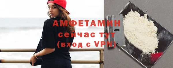 спиды Бородино