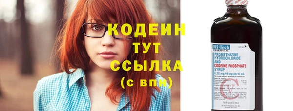 прущий лед Богданович