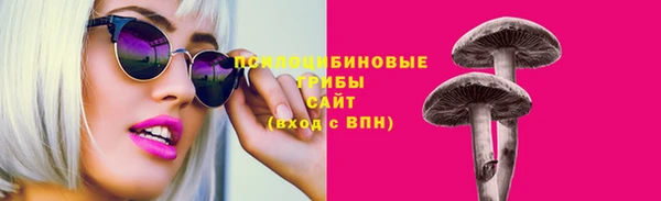 прущий лед Богданович