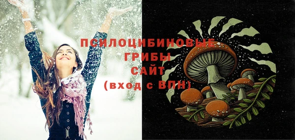 не бодяженный Богородицк