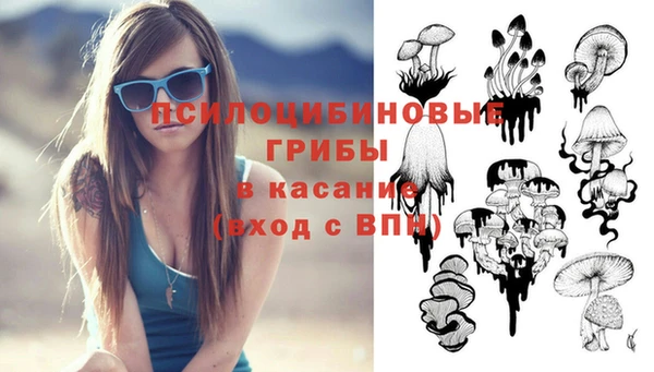 спиды Бородино
