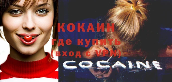 прущий лед Богданович