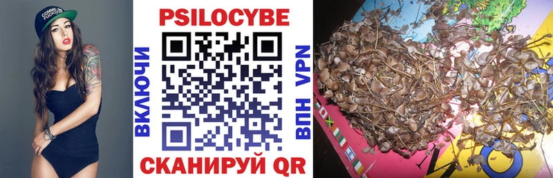 Псилоцибиновые грибы Psilocybe  Микунь 