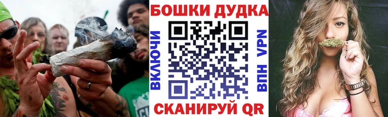 Бошки марихуана планчик  блэк спрут зеркало  Микунь 